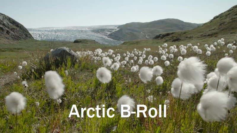 ¼ƬB/Arctic B-Roll-Ļ