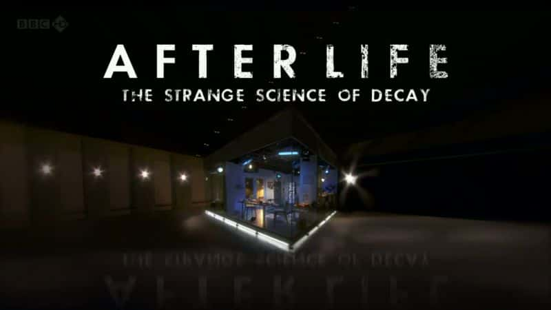 ¼Ƭ󣺸õֿѧ/After Life: The Strange Science of Decay-Ļ