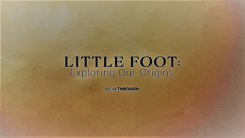 ¼ƬͻƣС̽ǵԴ/Breakthrough: Little Foot Exploring Our Origins-Ļ