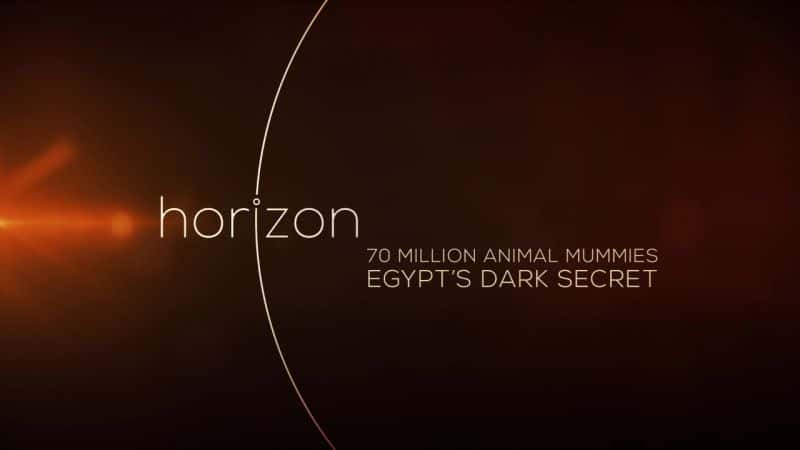 ¼Ƭ7000ľĺڰ/70 Million Animal Mummies: Egypt's Dark Secret-Ļ