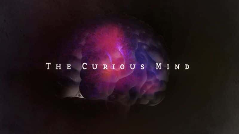 ¼Ƭĵ˼άϵ1/The Curious Mind with Nigel : Series 1-Ļ