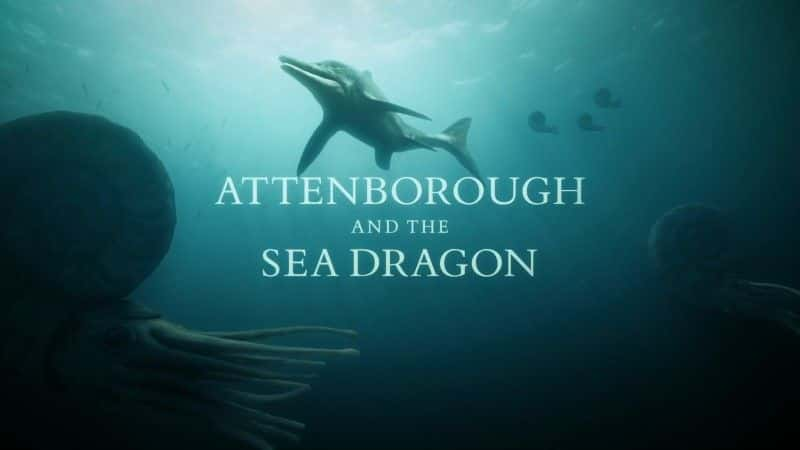 ¼Ƭպͺ/Attenborough and the Sea Dragon-Ļ