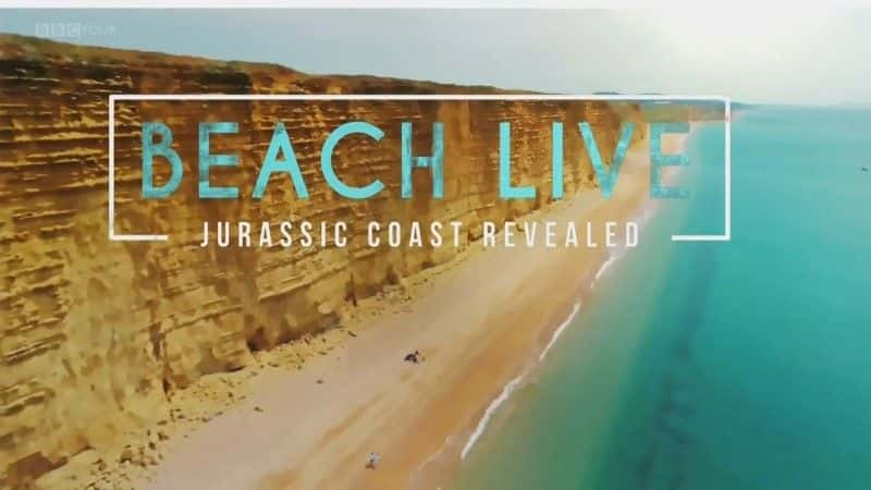 ¼Ƭֱ̲٪޼ͺ/Beach Live: Jurassic Coast Revealed-Ļ