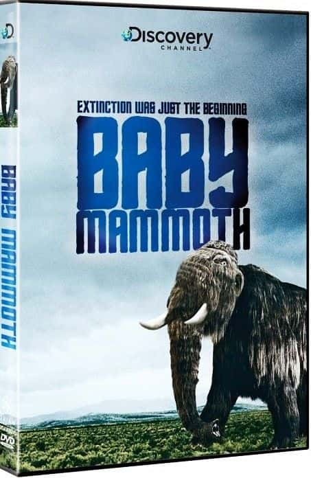 ¼ƬС󱦱/Baby Mammoth-Ļ