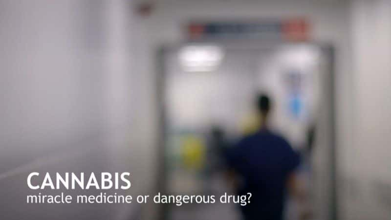 ¼Ƭ飺漣ҩﻹΣնƷ/Cannabis: Miracle Medicine or Dangerous Drug-Ļ