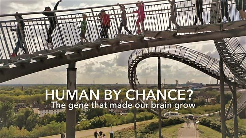 ¼ƬżȻ/Human by Chance?-Ļ