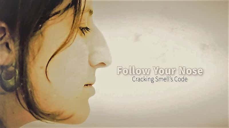 ¼Ƭıӣƽζ/Follow Your Nose: Cracking Smell's Code-Ļ