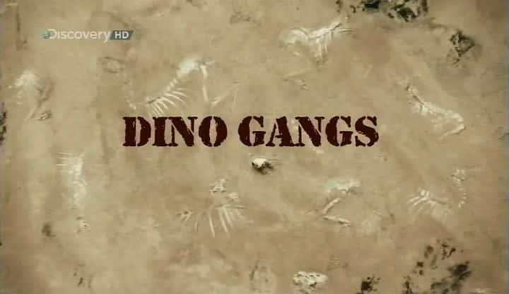 ¼Ƭ/Dino Gangs-Ļ