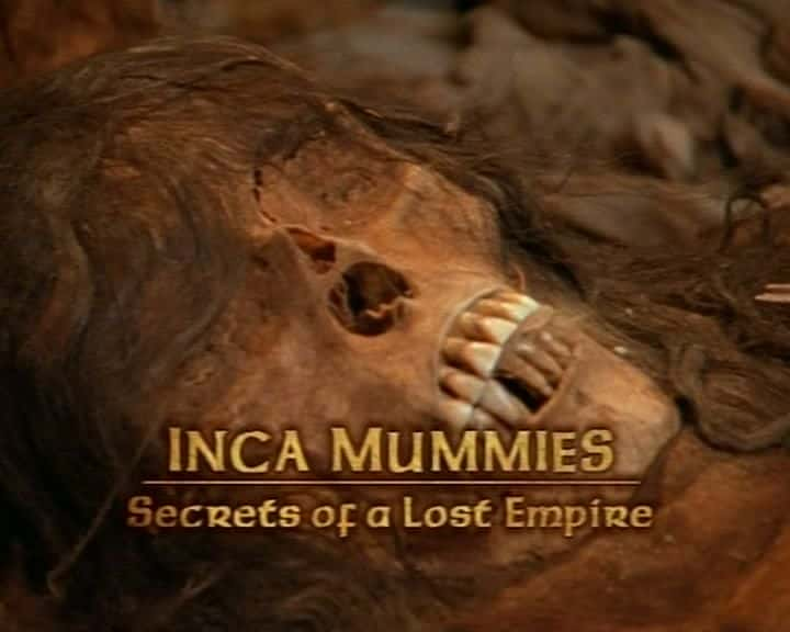 ¼Ƭӡľʧ/Inca Mummies: Secrets of a Lost World-Ļ