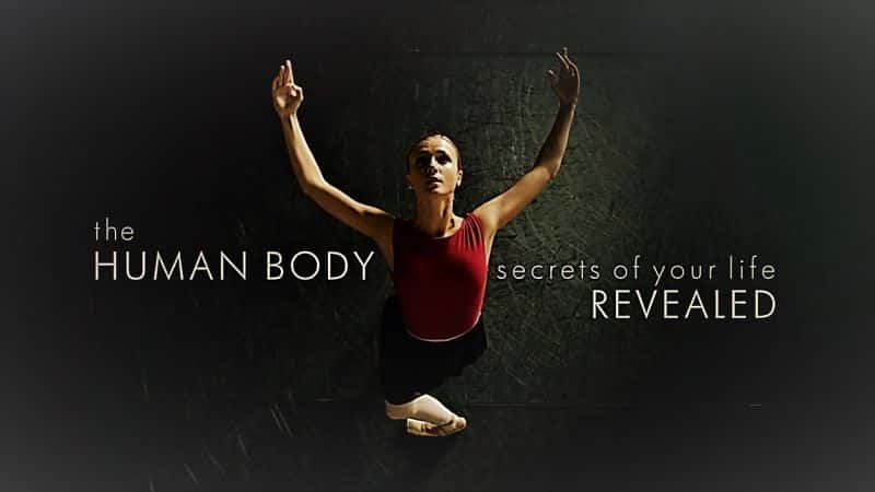 ¼Ƭ壺ʾ/The Human Body: Secrets of Your Life Revealed-Ļ