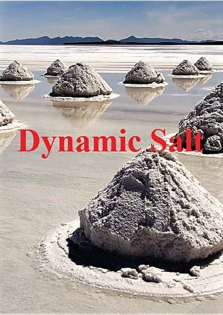 ¼Ƭ̬/Dynamic Salt-Ļ