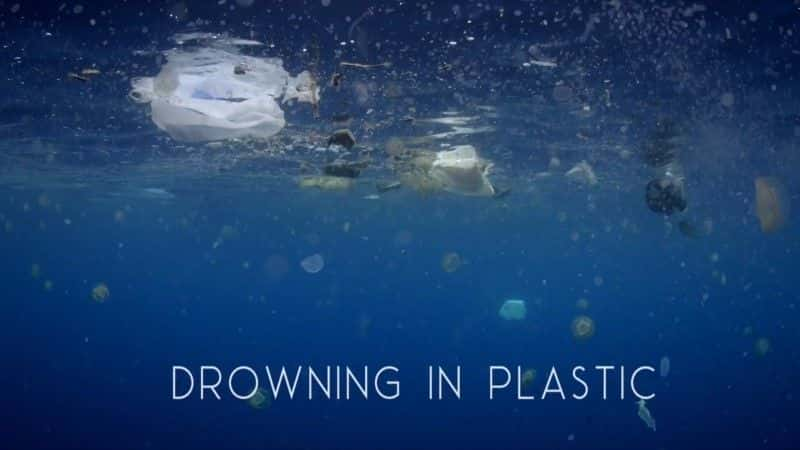 ¼Ƭеû/Drowning in Plastic-Ļ