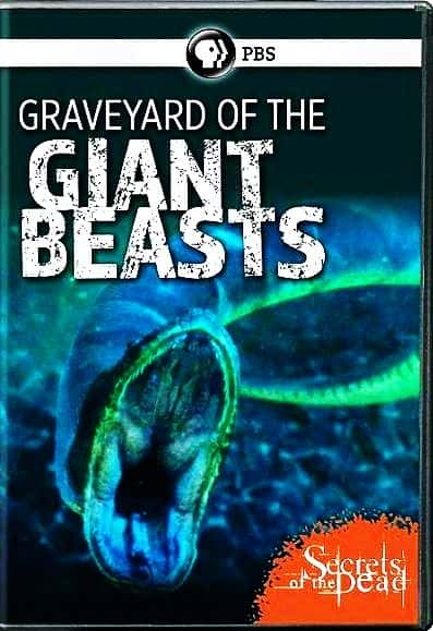 ¼Ƭ޵ķĹ/Graveyard of the Giant Beasts-Ļ