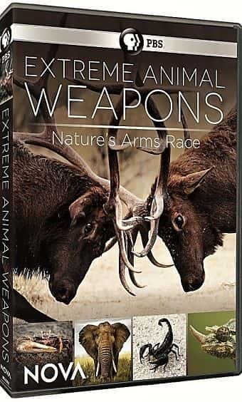 ¼Ƭ˶/Extreme Animal Weapons-Ļ