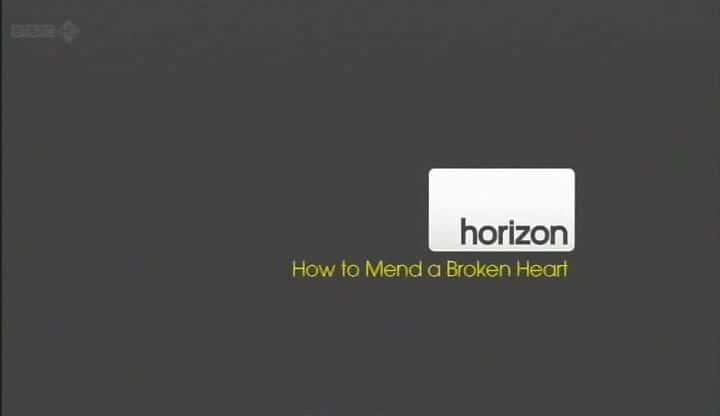 ¼Ƭ޲һ/How to Mend a Broken Heart-Ļ