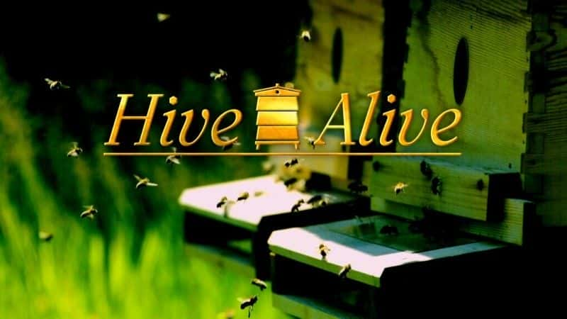 ¼Ƭ䳲/Hive Alive-Ļ