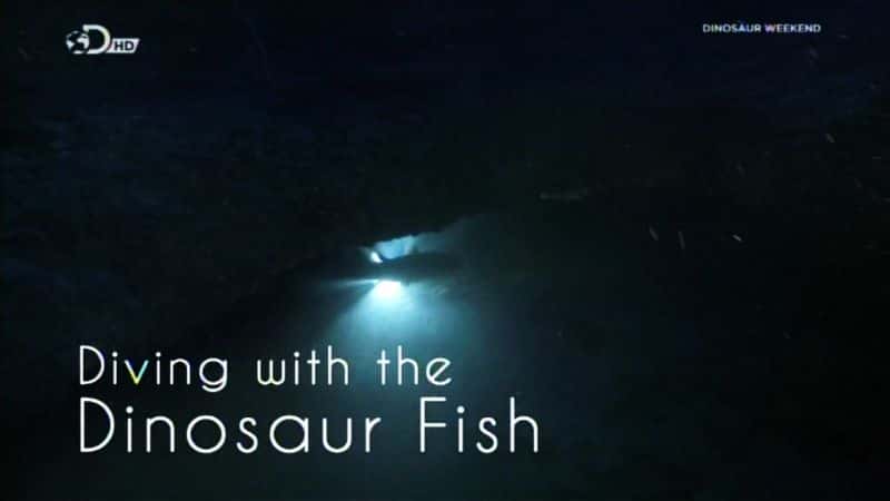 ¼ƬǱˮ/Diving with the Dinosaur Fish-Ļ