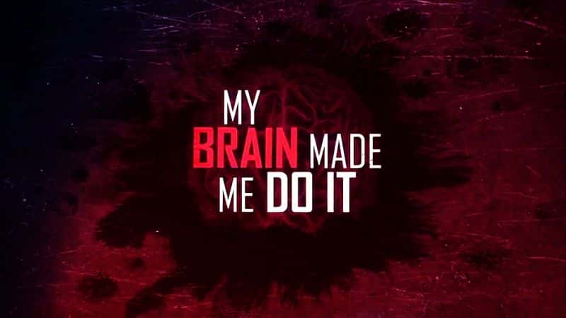 ¼ƬҵĴô/My Brain Made Me Do It-Ļ