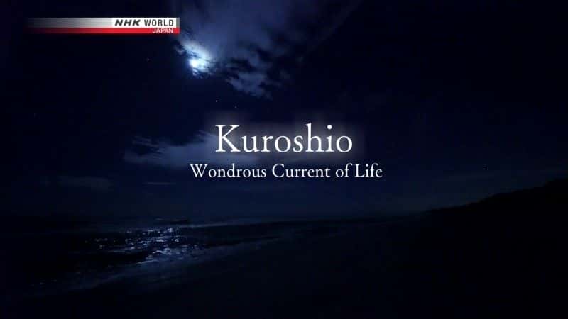 ¼Ƭڳ/Kuroshio: Wondrous Current of Life-Ļ