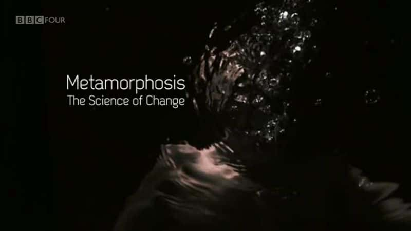 ¼ƬΣ仯Ŀѧ/Metamorphosis: The Science of Change-Ļ