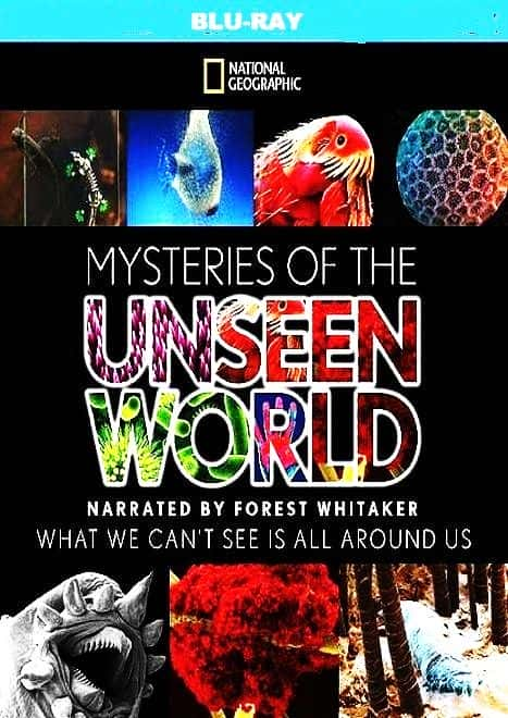 ¼Ƭδ֪İ/Mysteries of the Unseen World-Ļ