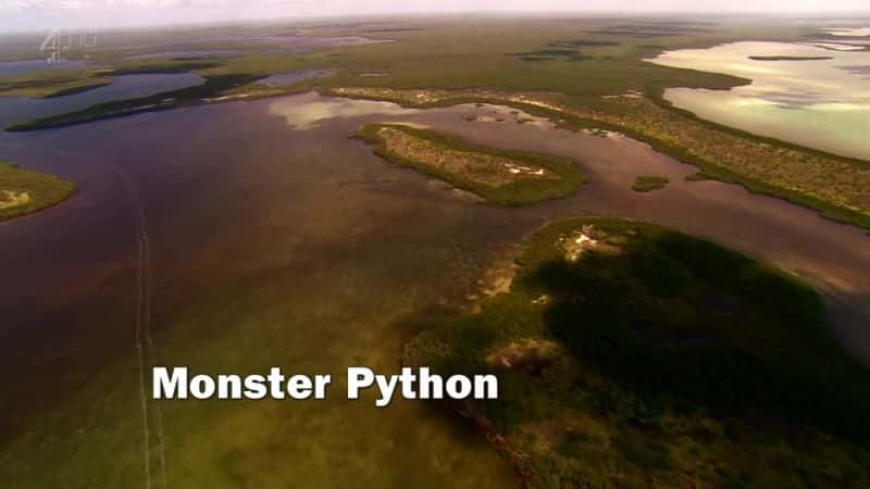 ¼Ƭ/Monster Python-Ļ