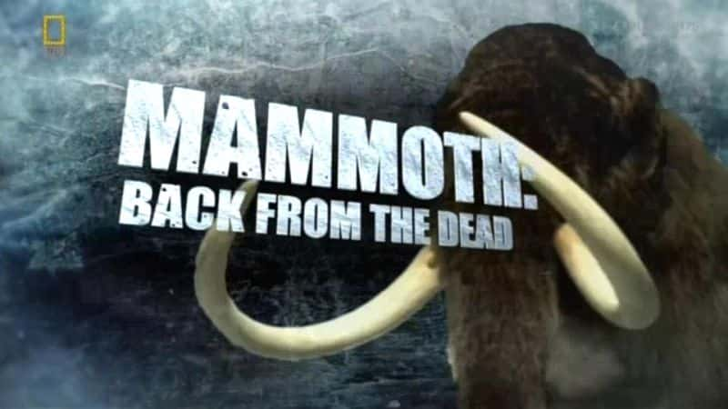 ¼Ƭط˼䣺һ/Mammoth Back from the Dead: Part 1-Ļ