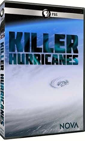 ¼Ƭ쫷/Killer Hurricanes-Ļ