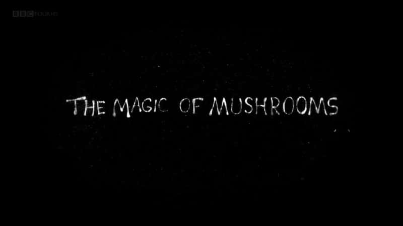 ¼ƬĢħ/The Magic of Mushrooms-Ļ