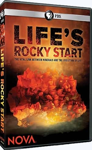 ¼ƬʯԴ/Life's Rocky Start-Ļ