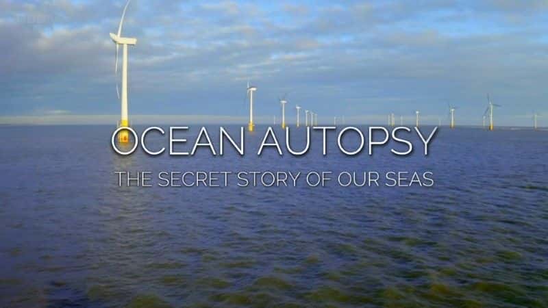 ¼ƬʬǺܹ/Ocean Autopsy: The Secret Story of Our Seas-Ļ