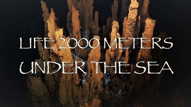 ¼Ƭ2000׵/Life 2,000 Meters under the Sea-Ļ