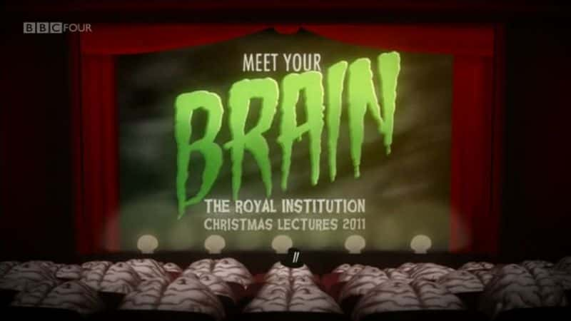 ¼ƬʶĴ/Meet Your Brain-Ļ