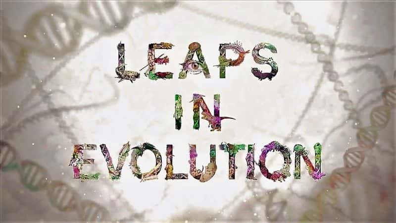 ¼ƬķԾϵ1/Leaps in Evolution: Series 1-Ļ