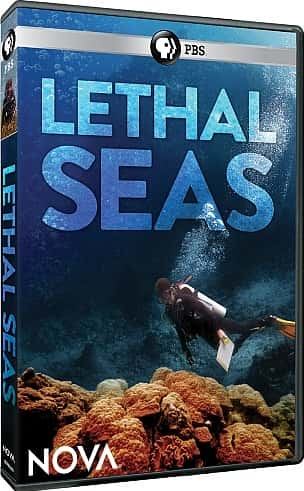 ¼Ƭĺ/Lethal Seas-Ļ