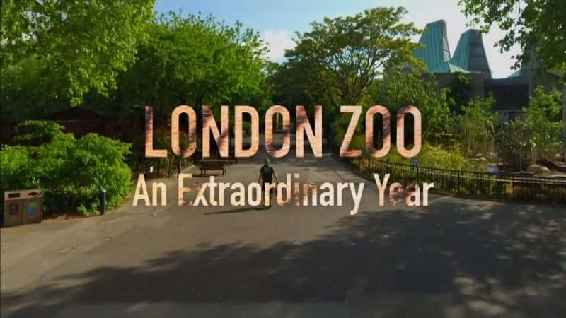 ¼Ƭ׶ض԰Ƿһ/London Zoo: An Extraordinary Year-Ļ