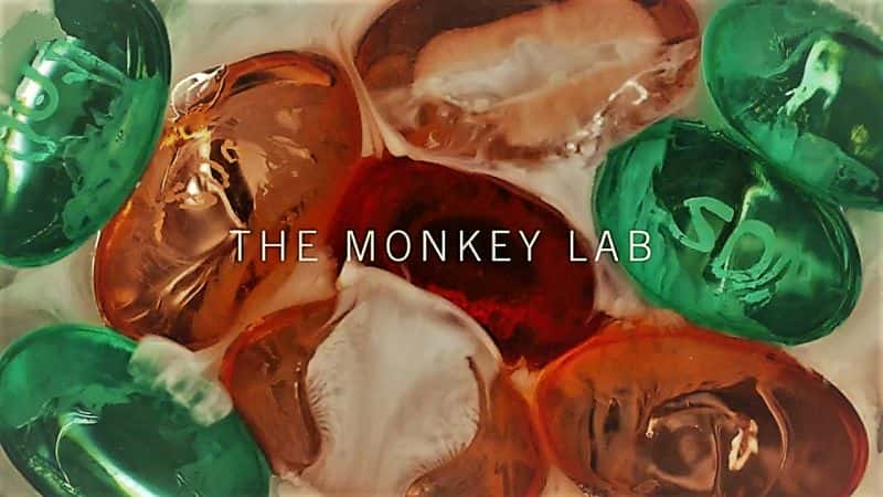 ¼Ƭʵ/The Monkey Lab-Ļ