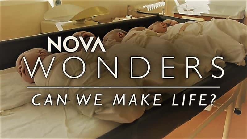 ¼ƬNOVA 漣ϵ1 5֣ܴ/NOVA Wonders Series 1 Part 5: Can We Make Life?-Ļ