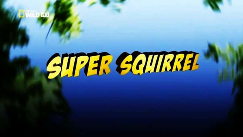 ¼Ƭ/Super Squirrel-Ļ