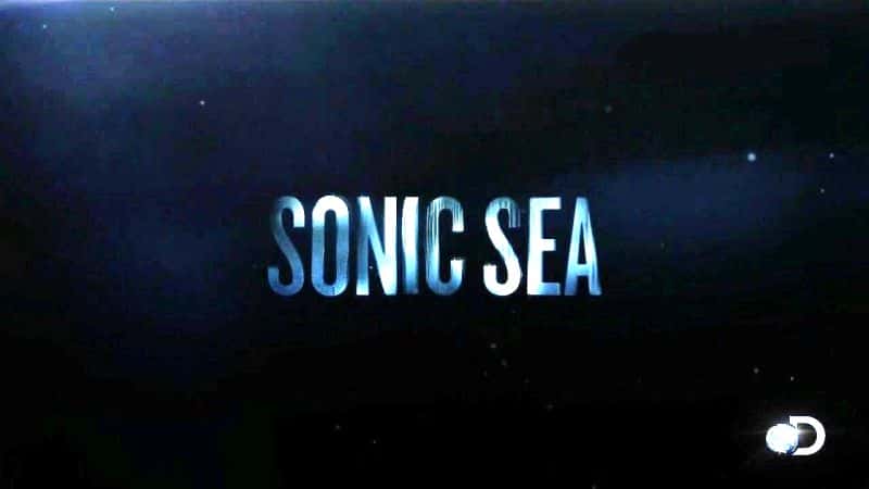 ¼Ƭٺ/Sonic Sea-Ļ