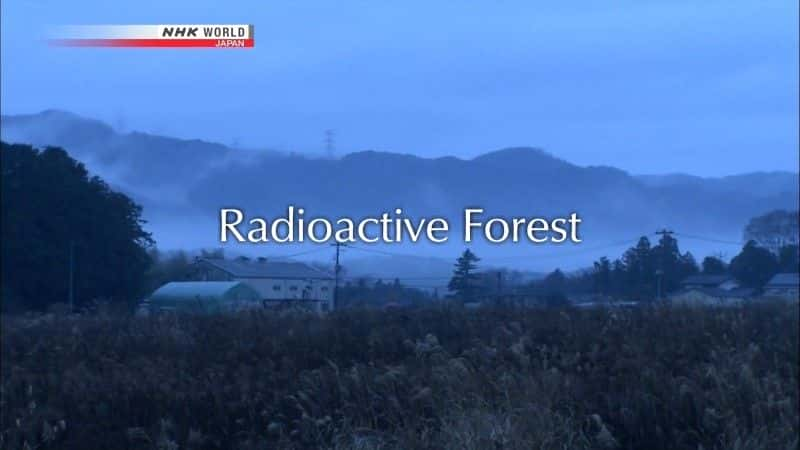 ¼Ƭɭ/Radioactive Forest-Ļ