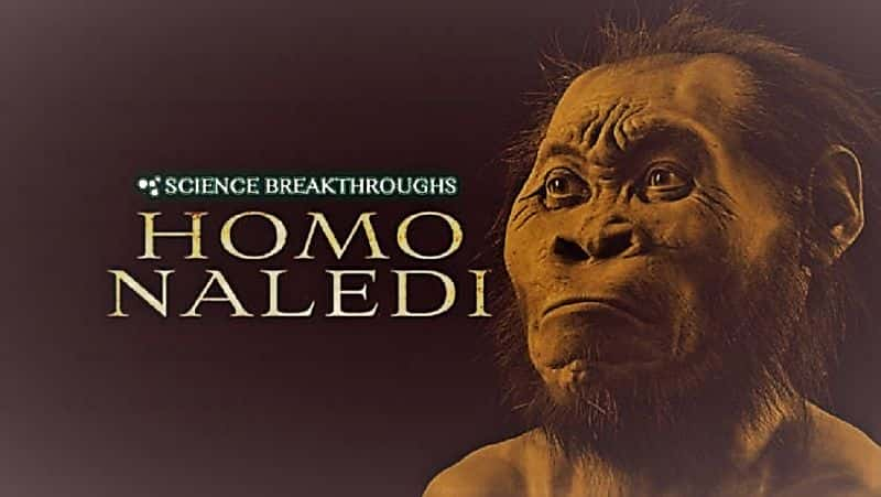 ¼ƬѧͻƣĪ/Science Breakthroughs: Homo Naledi-Ļ