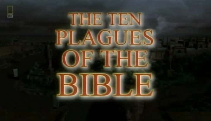 ¼Ƭʥʮ/The Ten Plagues of the Bible-Ļ