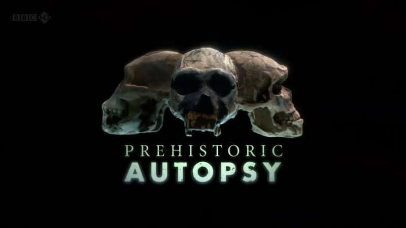 ¼Ƭʷǰʬ/Prehistoric Autopsy-Ļ