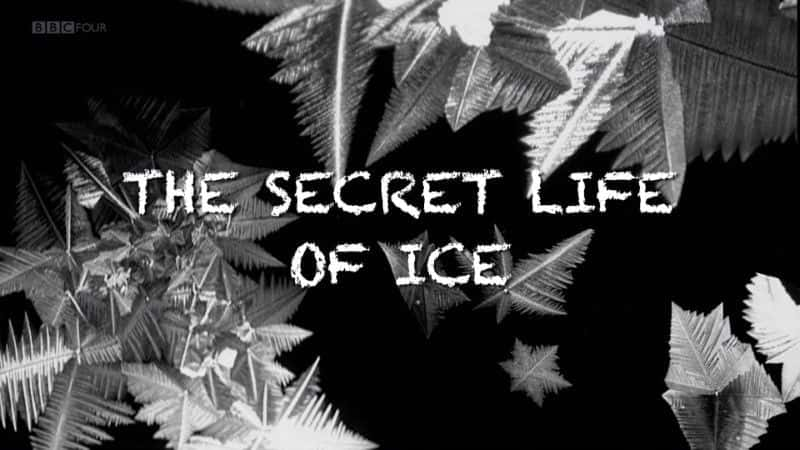 ¼Ƭ/The Secret Life of Ice-Ļ