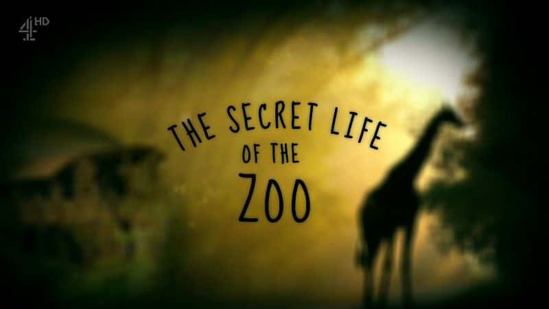 ¼Ƭ԰/The Secret Life of the Zoo-Ļ