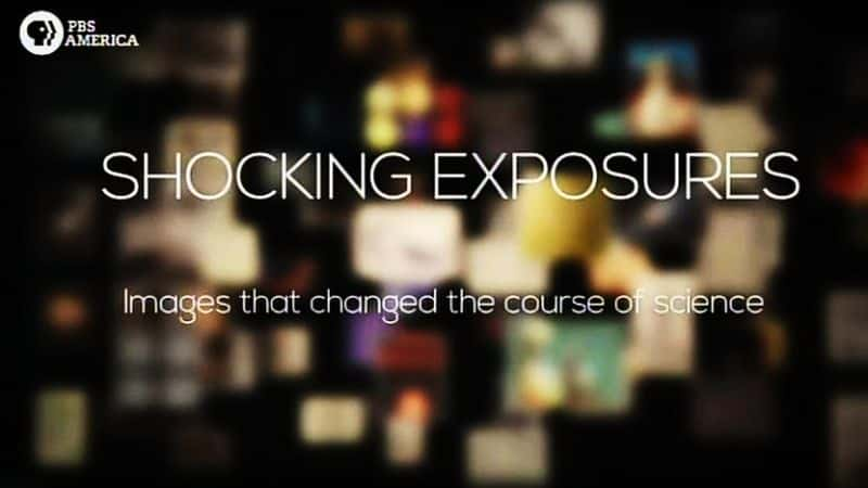 ¼Ƭ𾪵ع⣺ıѧͼ/Shocking Exposures: Images that Changed Science-Ļ