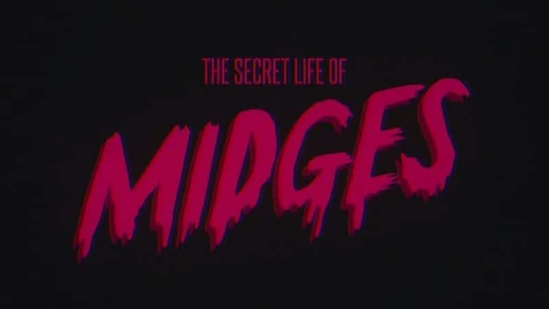 ¼ƬС/The Secret Life of Midges-Ļ