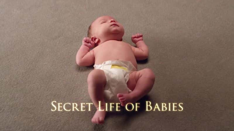 ¼ƬӤ/Secret Life of Babies-Ļ