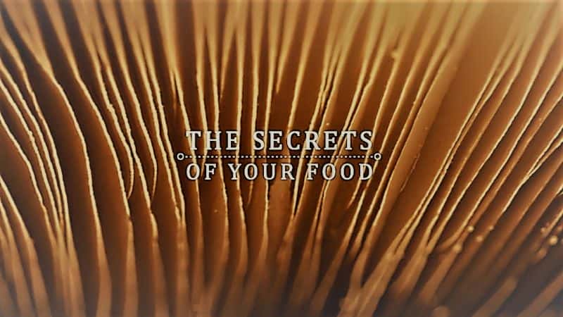 ¼Ƭʳܣϵ1/The Secrets of Your Food: Series 1-Ļ